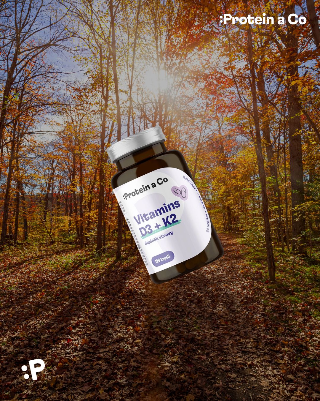 Nejlepsi-doplnky-pro-imunitu-a-zdravi-1-clanek-vyziva-proteinaco